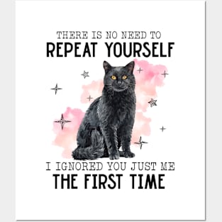 There Is No Need To Repeat Yourself Funny Cat Posters and Art